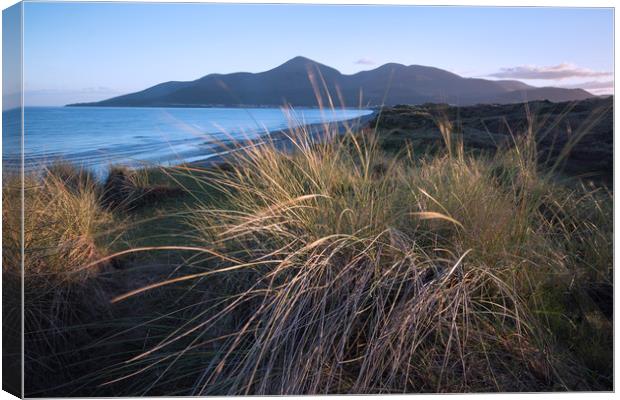 Mourne Mountains Northern Ireland Canvas Print by Andy Redhead