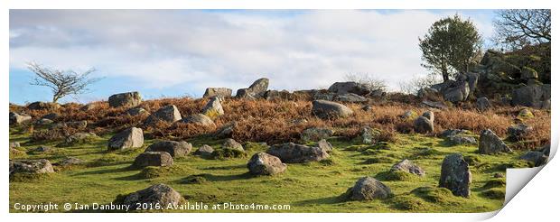 Rocky Moorland Print by Ian Danbury