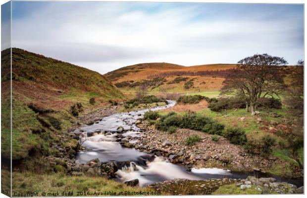 Breamish Valley Canvas Print by mark dodd