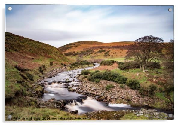 Breamish Valley Acrylic by mark dodd