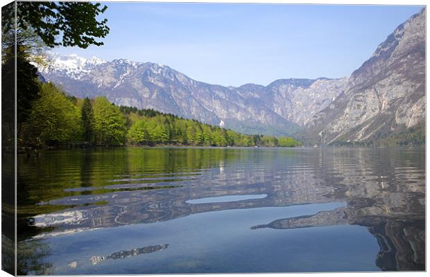 Rippled reflections on an alpine lake Canvas Print by Ian Middleton