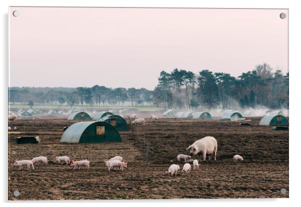 Burning old straw bedding on a pig farm. Norfolk,  Acrylic by Liam Grant