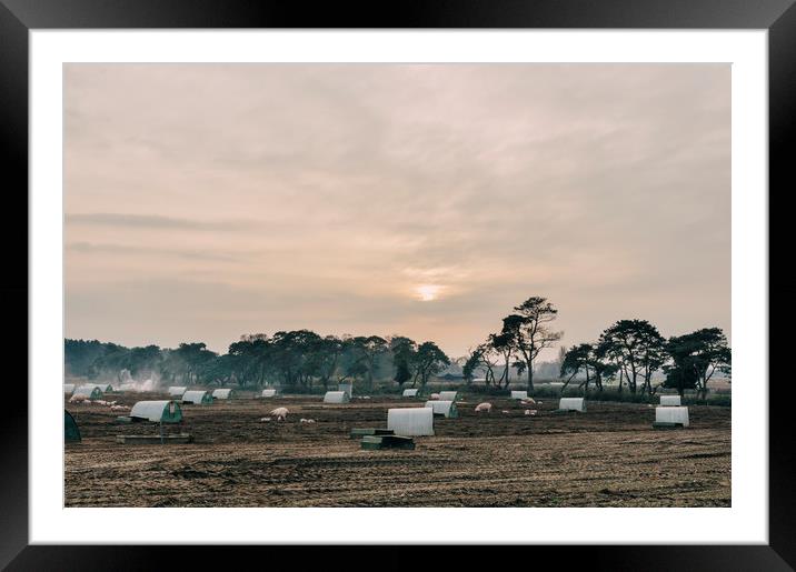 Burning old straw bedding on a pig farm at sunset. Framed Mounted Print by Liam Grant