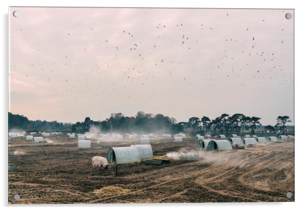 Burning old straw bedding on a pig farm. Norfolk,  Acrylic by Liam Grant