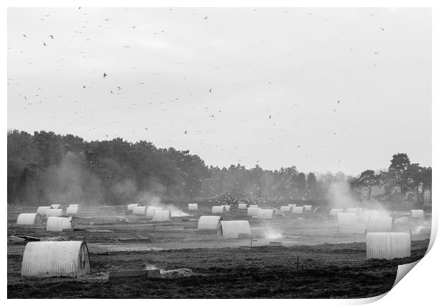 Burning old straw bedding on a pig farm. Norfolk,  Print by Liam Grant