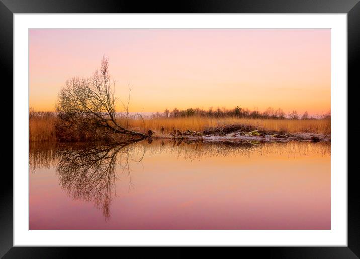 Sunrise Framed Mounted Print by Svetlana Sewell