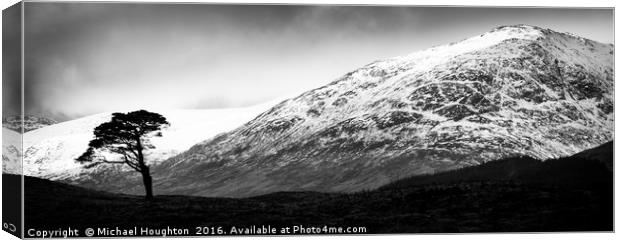 Clashgour Pine Canvas Print by Michael Houghton