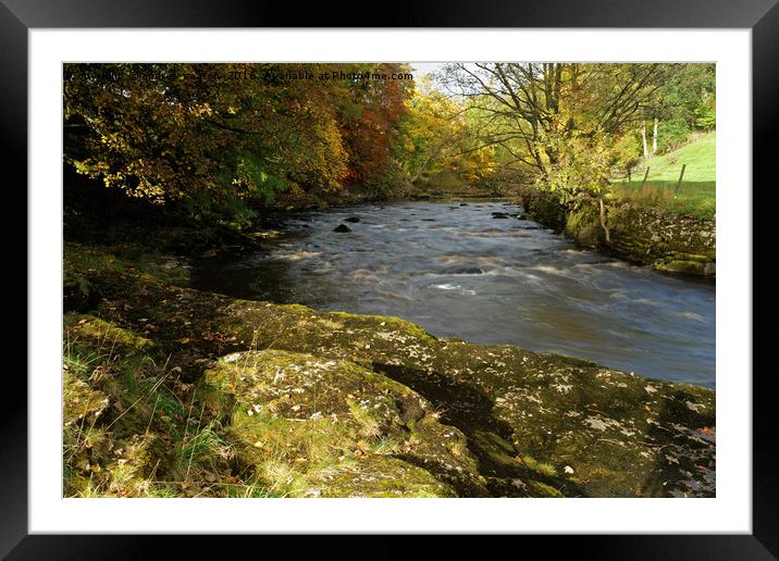 RIVER RIBBLE Framed Mounted Print by andrew saxton