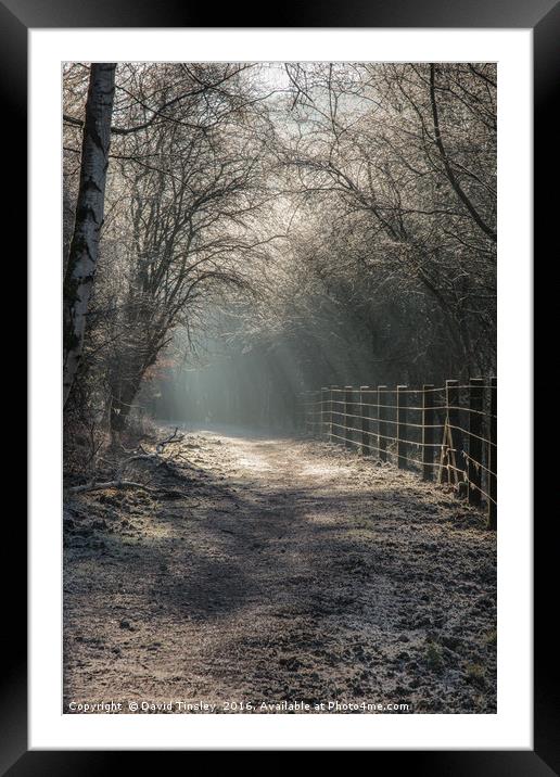 The Old Railway Line Framed Mounted Print by David Tinsley