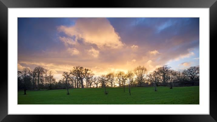 Sunset over trees  Framed Mounted Print by Shaun Jacobs