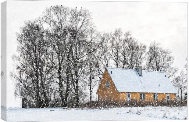 Yellow house in Winter Canvas Print by Antony McAulay