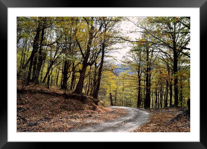 A nice view of Autumn in jungle10 , Framed Mounted Print by Ali asghar Mazinanian