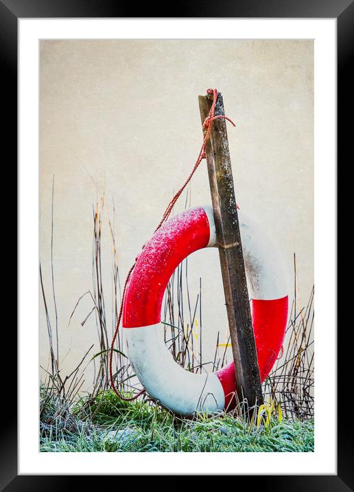 Lifebuoy Framed Mounted Print by Svetlana Sewell