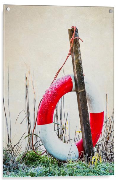 Lifebuoy Acrylic by Svetlana Sewell