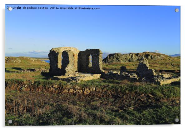 ANGLESEY RUINS Acrylic by andrew saxton
