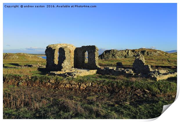 ANGLESEY RUINS Print by andrew saxton