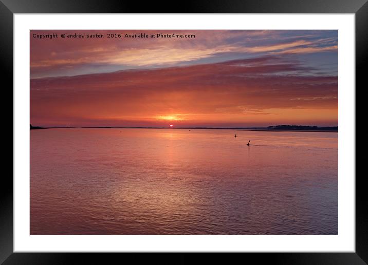 SUN IS SHINNING Framed Mounted Print by andrew saxton