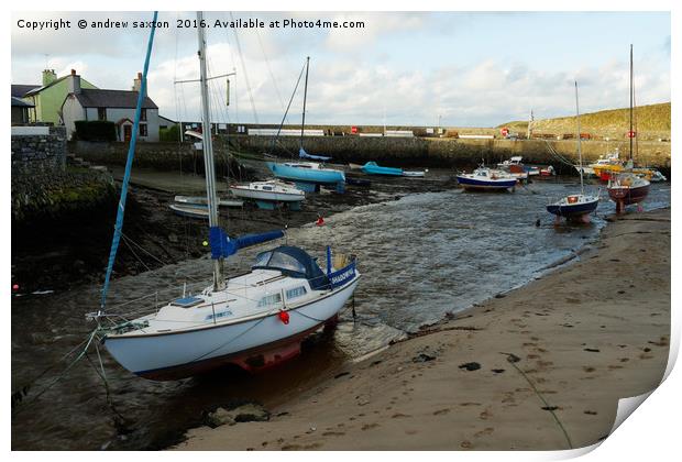 CEMAES HARBOUR Print by andrew saxton