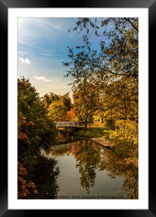 RIVER CHERWELL AUTUMN REFLECTIONS Framed Mounted Print by DAVID SAUNDERS