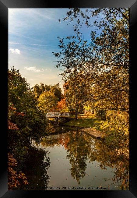 RIVER CHERWELL AUTUMN REFLECTIONS Framed Print by DAVID SAUNDERS