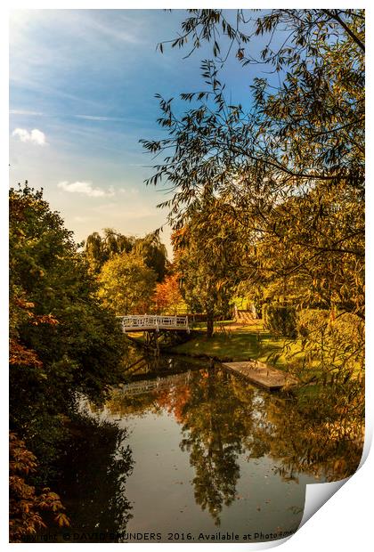 RIVER CHERWELL AUTUMN REFLECTIONS Print by DAVID SAUNDERS