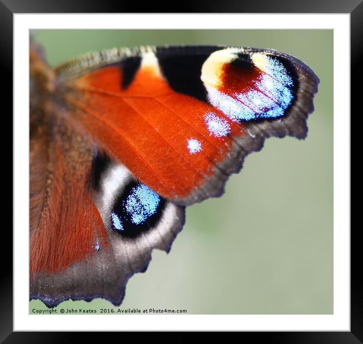 A macro shot of a Peacock Butterfly wing Framed Mounted Print by John Keates