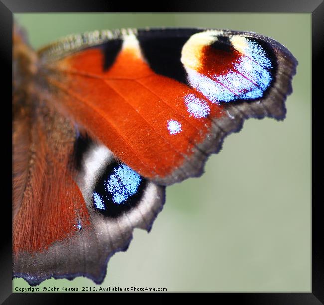 A macro shot of a Peacock Butterfly wing Framed Print by John Keates
