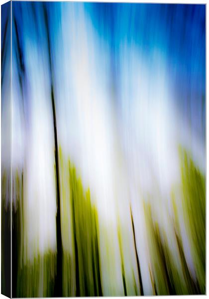 Abstraction Of Motion Blur Canvas Print by David Pyatt