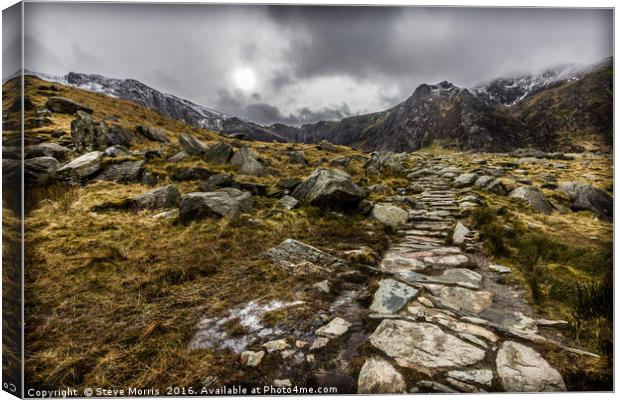 Pathway to Legends Canvas Print by Steve Morris