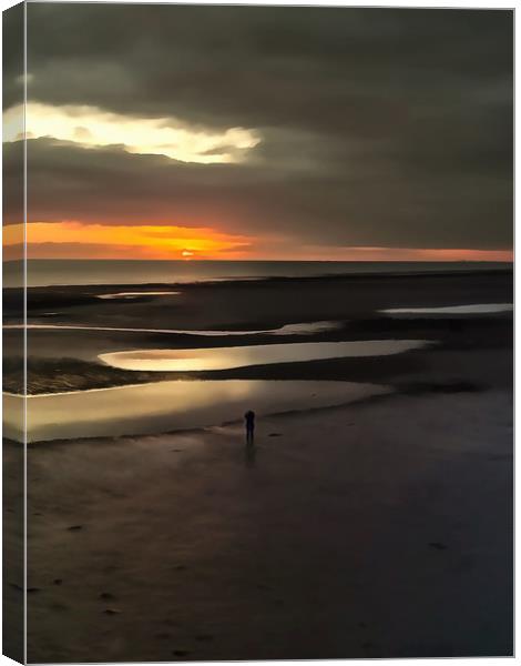 Alone At Worthing Canvas Print by Clive Eariss