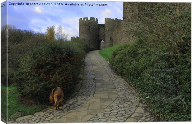 CASTLE ENTRANCE Canvas Print by andrew saxton