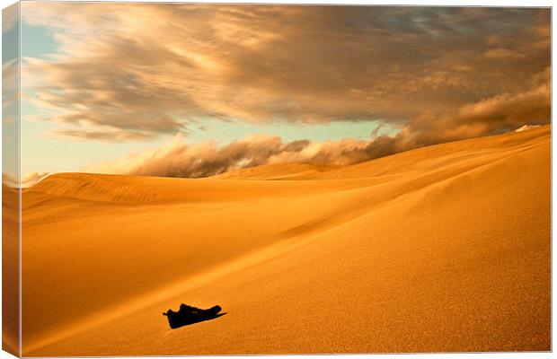 Lost in the Desert Canvas Print by Jim kernan