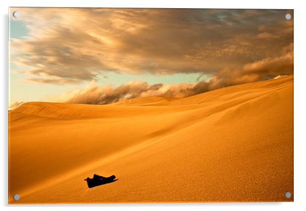 Lost in the Desert Acrylic by Jim kernan