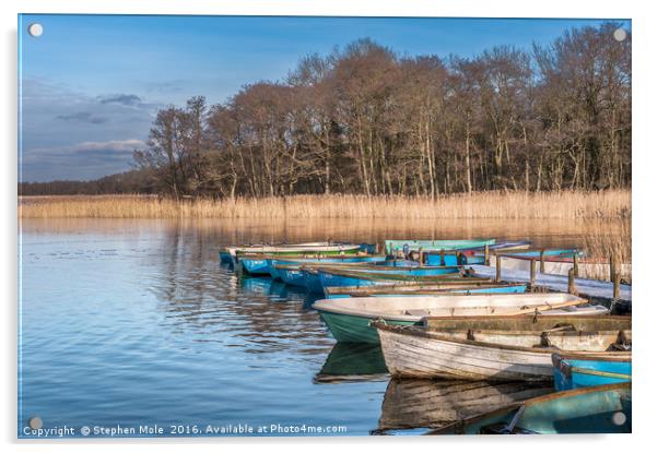 Filby Broad and Boats Acrylic by Stephen Mole