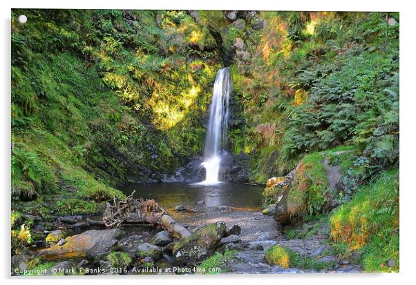 Lower Pistyll Rhaeadr Waterfall Acrylic by Mark  F Banks