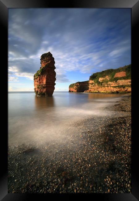 Sea Stack at Ladram Bay Framed Print by Andrew Ray