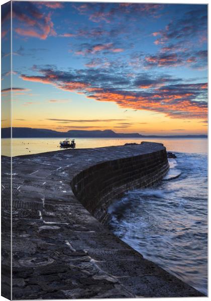 The Cobb at Sunrise Canvas Print by Andrew Ray