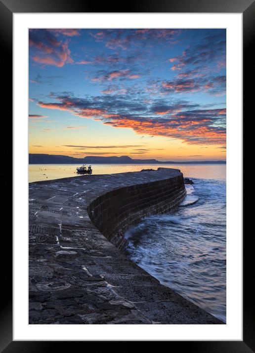 The Cobb at Sunrise Framed Mounted Print by Andrew Ray