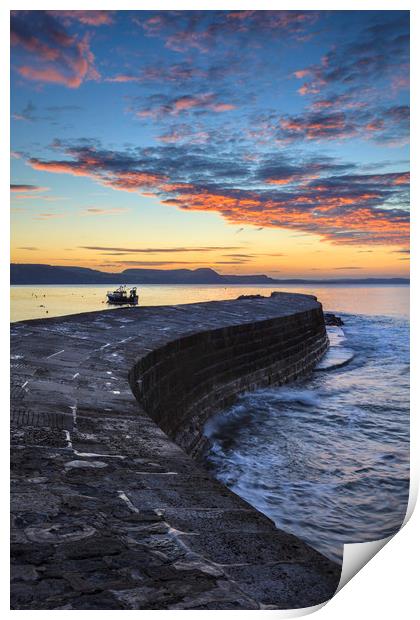 The Cobb at Sunrise Print by Andrew Ray