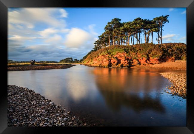 Tree's on the River Otter Framed Print by Andrew Ray