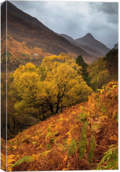 Autumn above Loch Leven Canvas Print by Andrew Ray