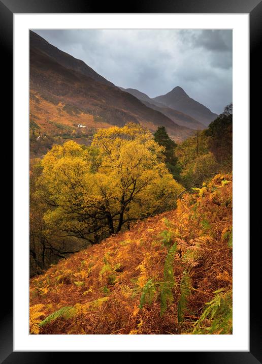 Autumn above Loch Leven Framed Mounted Print by Andrew Ray