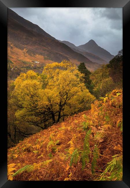 Autumn above Loch Leven Framed Print by Andrew Ray