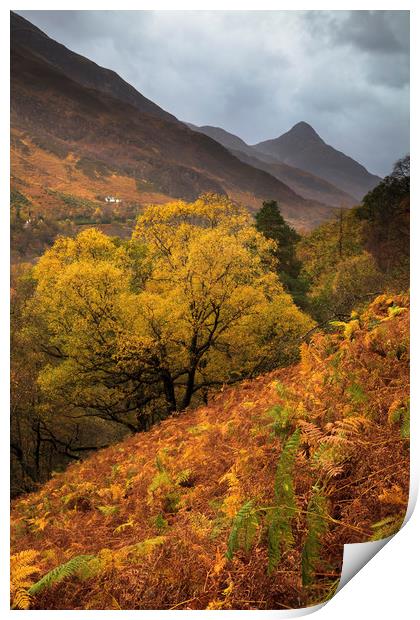 Autumn above Loch Leven Print by Andrew Ray