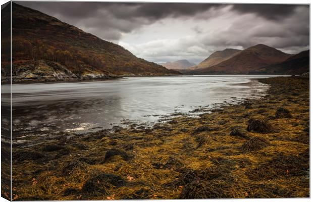 Loch Creran Canvas Print by Andrew Ray