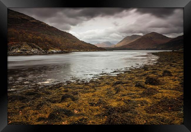 Loch Creran Framed Print by Andrew Ray