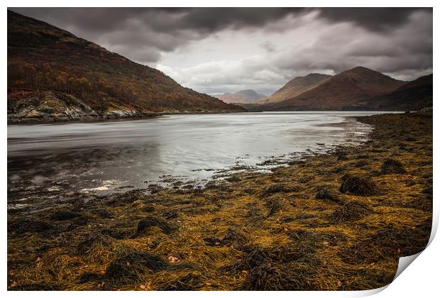 Loch Creran Print by Andrew Ray