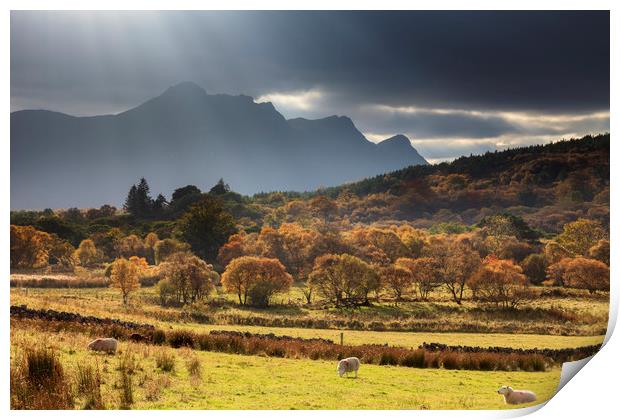 Light Shafts over Ben Loyal Print by Andrew Ray