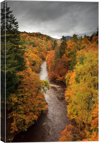 Autumn Colour (River Garry Canvas Print by Andrew Ray