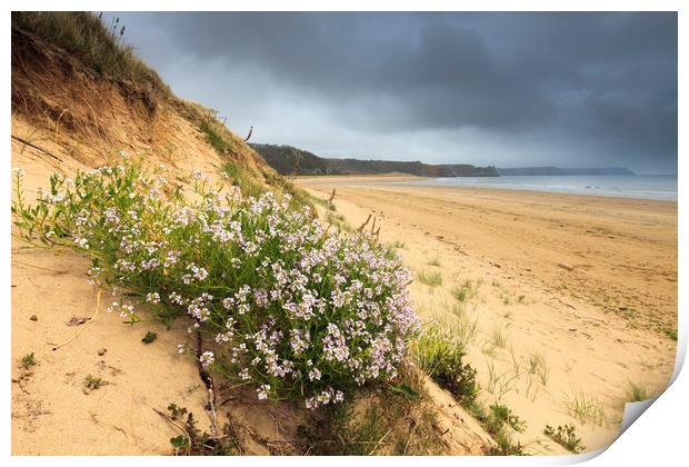 Oxwich Beach Print by Andrew Ray